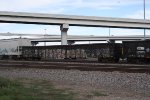 AOK 519238